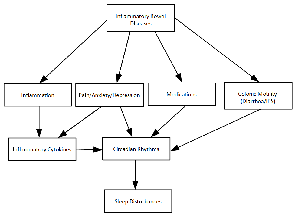 Diagram showing how Inflammatory Bowel Disease can lead to sleep disruption.