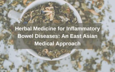 Herbal Medicine for Inflammatory Bowel Diseases: An East Asian Medical Approach